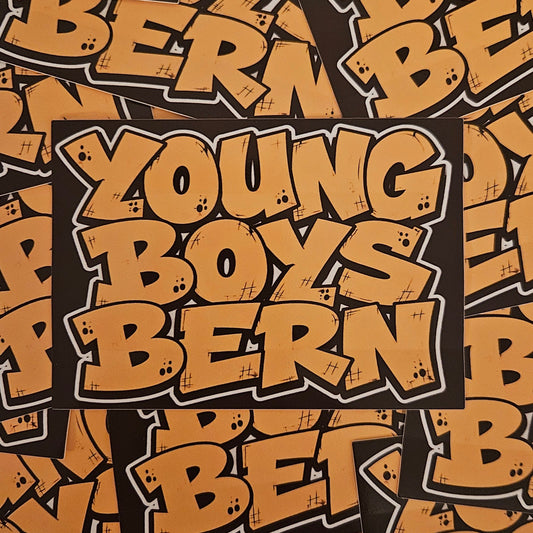 YOUNG BOYS BERN